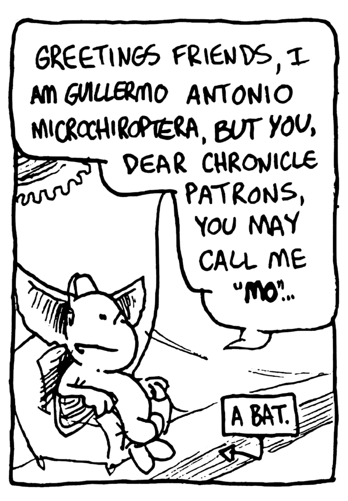 MO: Greetings riend, I am Guillermo Antonio Microchiroptera, but you, dear Chronicle patrons, you may call me "MO"...
LABEL: A bat.