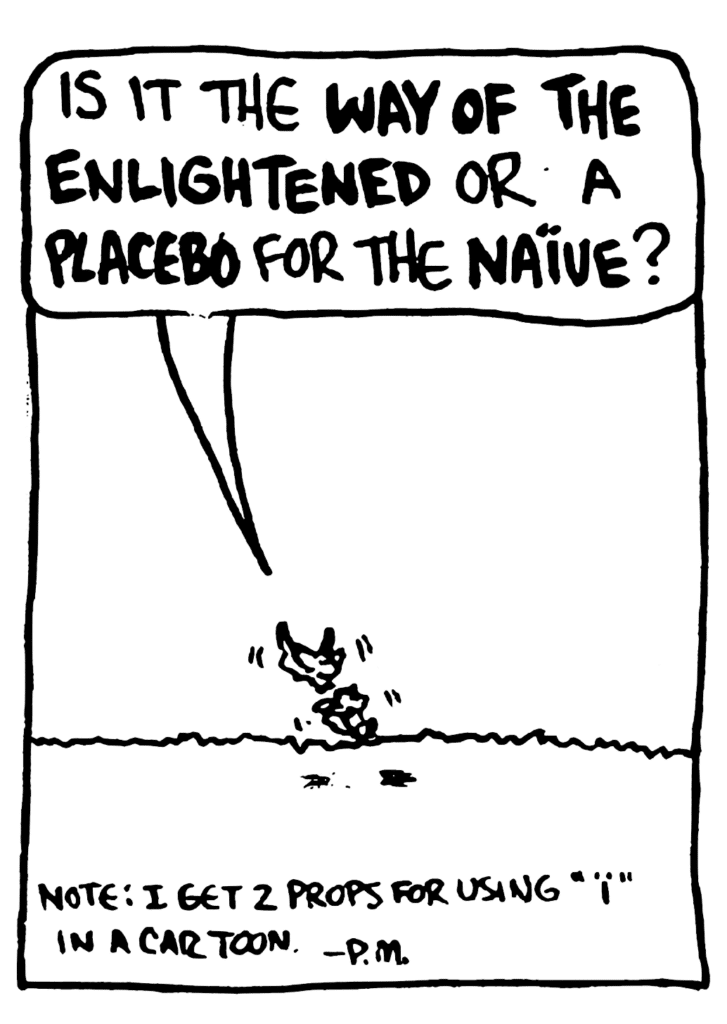 MO: Is it the WAY OF THE ENLIGHTENED or a PLACEBO for the NAIVE?
NOTE: I get 2 props for using "i" in a cartoon. - P.M.