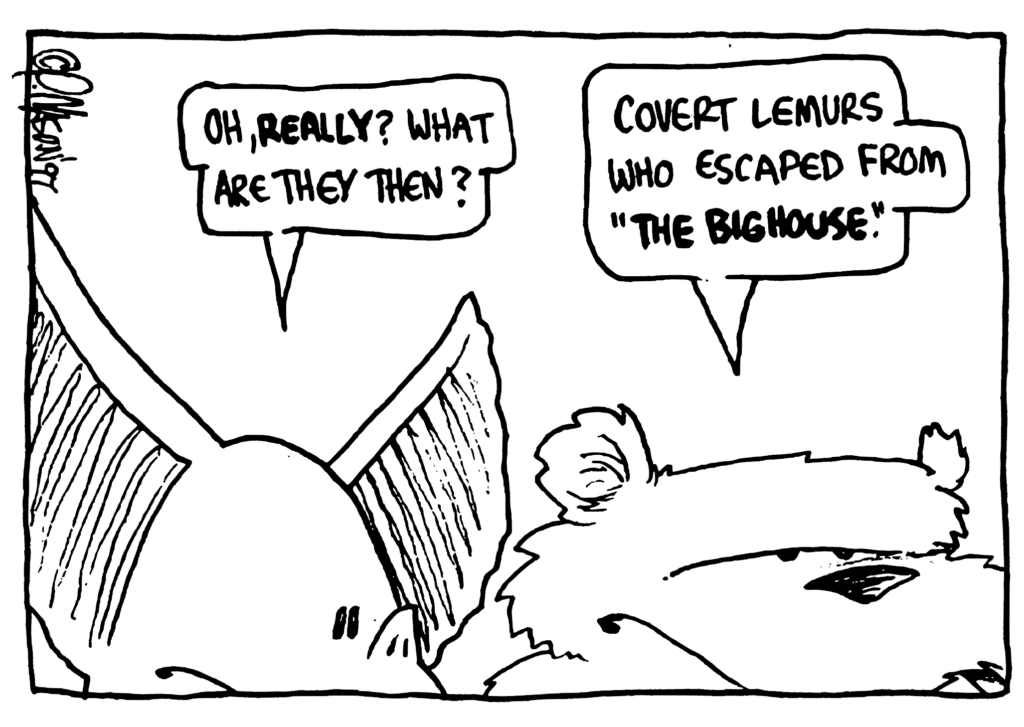 MO: Oh, REALLY? What are they then?
NICK: Covert lemurs who escaped from "THE BIG HOUSE".