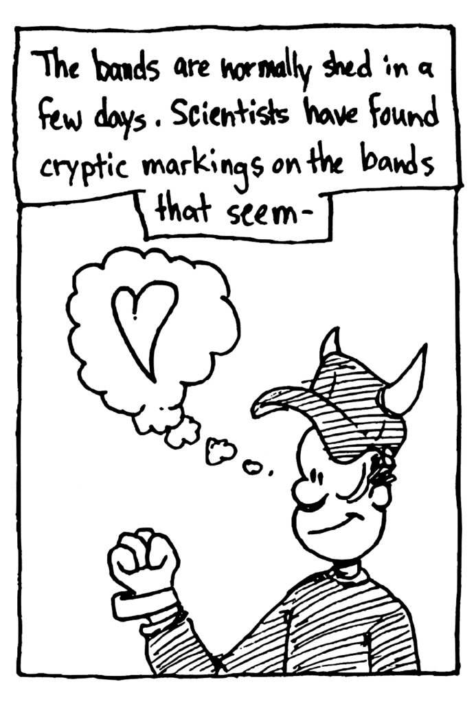 MO NARRATOR: The bands are normally shed in a few days. Scientists have found cryptic markings on the bands that seem-