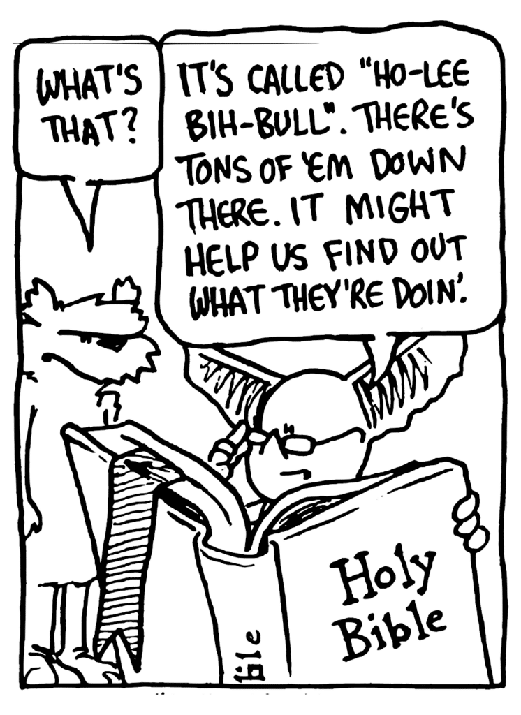 NICK: What's that?
MO: It's called "Ho-lee Bih-bull". There's tons of 'em down there. It might help us find out what they're doin'.