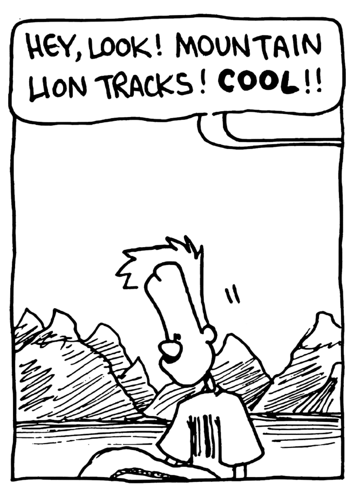 JOHNNY: Hey, look! Mountain lion tracks! COOL!!